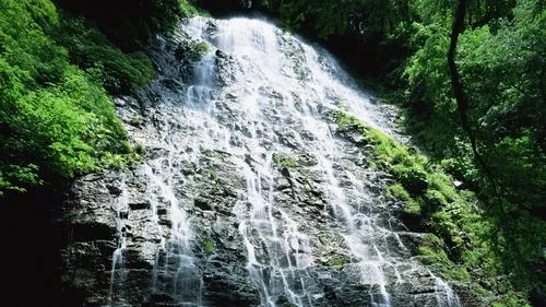 科技高标准